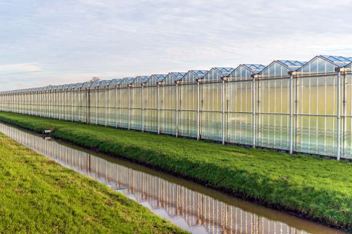 Featured image for “Loket open Subsidie voor energie-innovaties in de glastuinbouw”